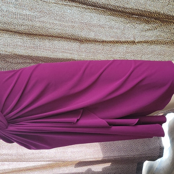 Catherine Malandrino Fuchsia Blush Knit Dress - Picture 4 of 7